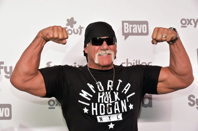 Hulk-Hogan-Flex.jpg | Gog Gravity